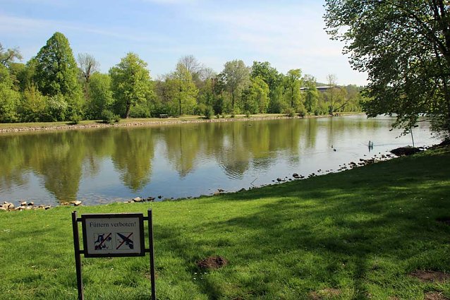 Bild: Den Parkteichen von Sondershausen fehlt (e) das Wasser