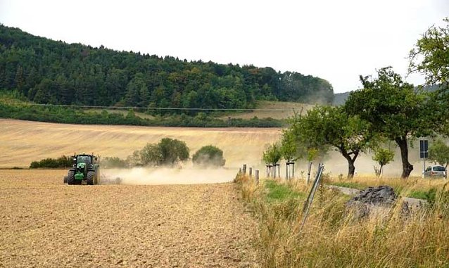Bild: Was treibt Waldb&auml;ume in den Trockenstress?