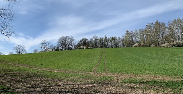 Bild: Windl&uuml;cke