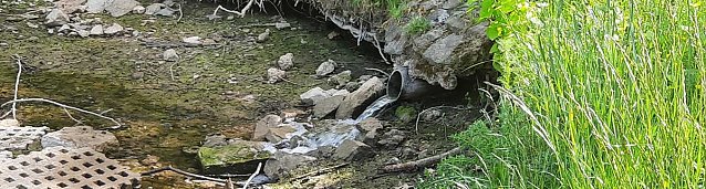 Bild: Schlossteich wird bef&uuml;llt