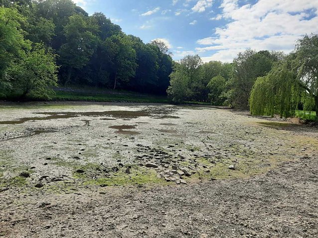 Bild: Schlossteich wird bef&uuml;llt