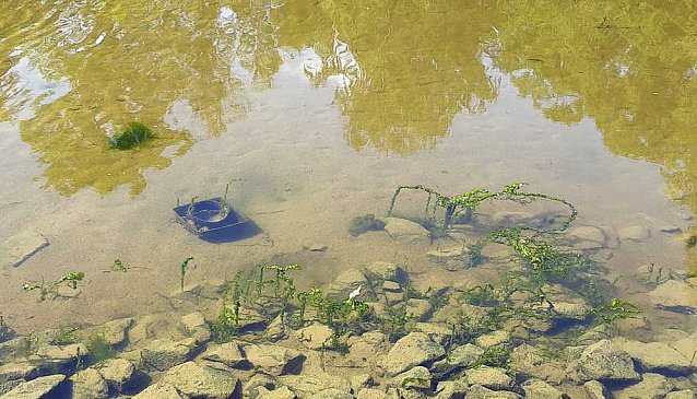 Bild: Stiftung Th&uuml;ringer Schl&ouml;sser und G&auml;rten, Manuel Mucha