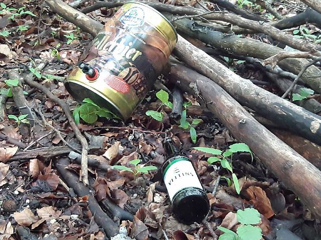 Bild: Verm&uuml;llung im Wald