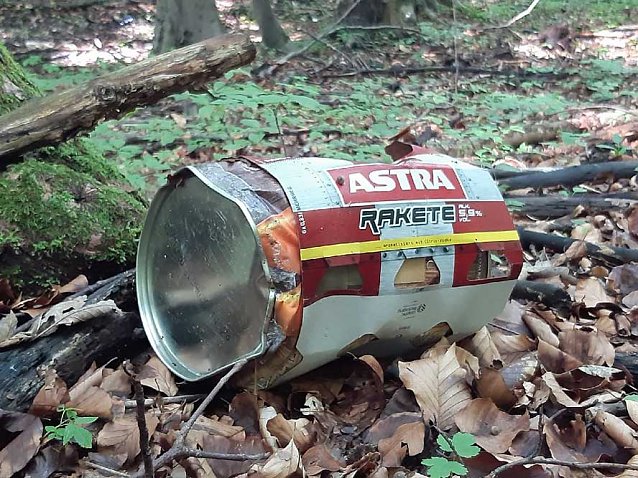 Bild: Verm&uuml;llung im Wald