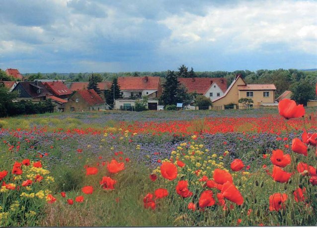 Bild: Blick vom Himmelsberg