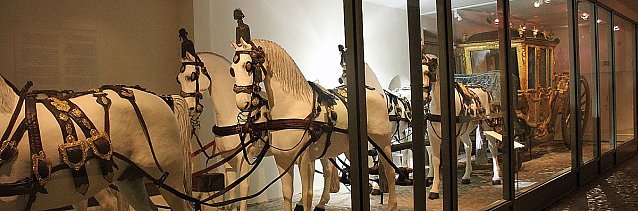 Bild: Museum &ouml;ffnet wieder planm&auml;&szlig;ig
