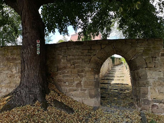 Bild: Lesung im Kloster Donndorf