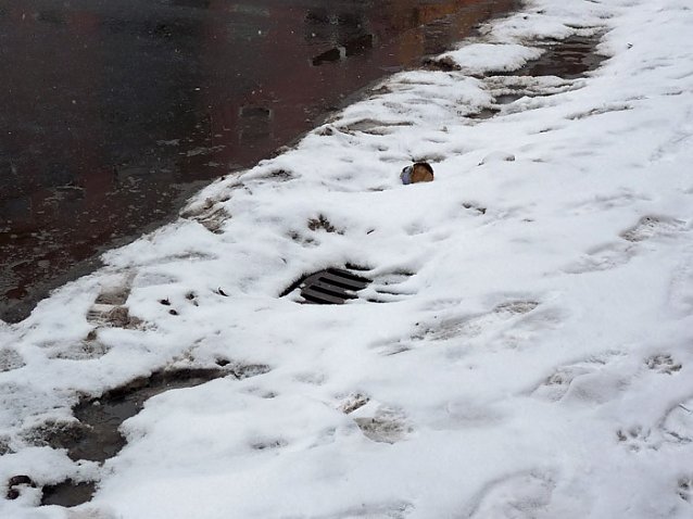 Bild: Probleme im Winter