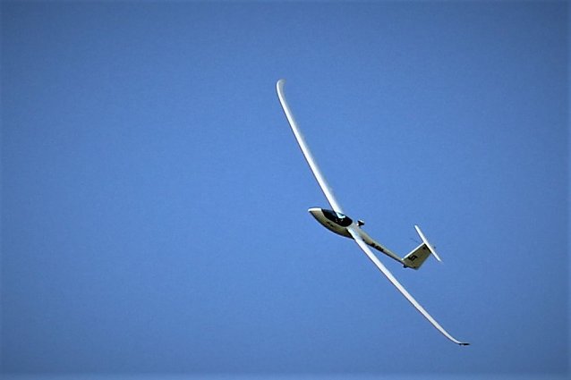 Bild: Zwei Neulinge am Frankenh&auml;user Himmel