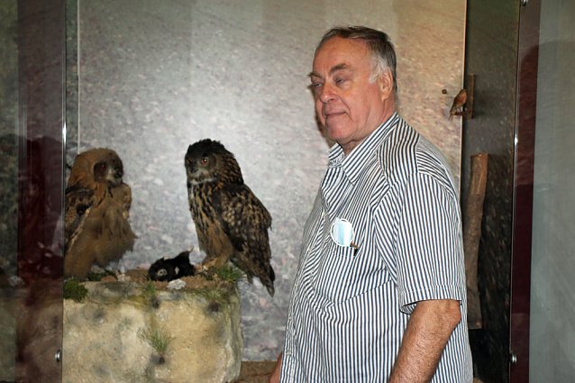 Bild: Uhus f&uuml;r das Schlossmuseum