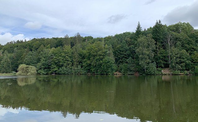 Bild: Teich in Bad Sachsa 
