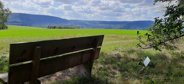 Bild: Vertrocknete B&auml;ume, B&auml;nke und mehr