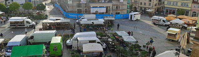 Bild: Pflanzenmarkt in Sondershausen gut besucht