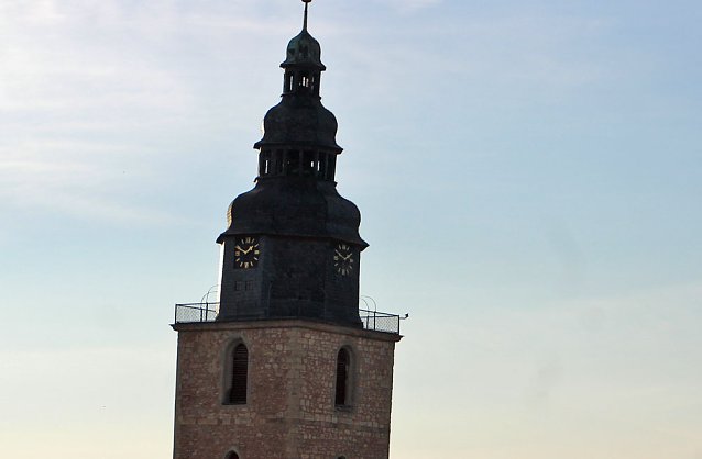 Bild: Pflanzenmarkt in Sondershausen gut besucht