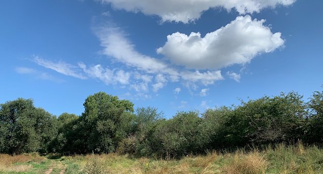 Bild: Somerlandschaft
