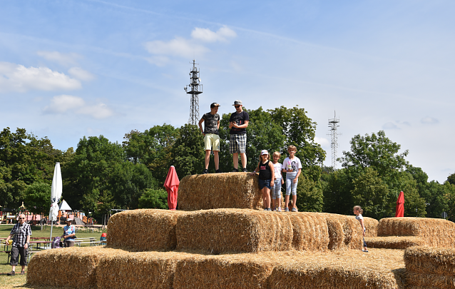 Bild: Ferien mit dem Leseclub