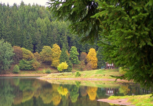 Bild: Die L&uuml;tschetalsperre im Th&uuml;ringer Forstamt Finsterbergen: W&auml;hrend Laubh&ouml;lzer einen farbenfrohen Indian Summer zaubern, bleiben die Nadelb&auml;ume -aus gutem Grund- ganzj&auml;hrig gr&uuml;n.