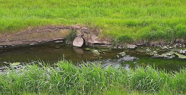 Bild: Dies und das aus Sondershausen