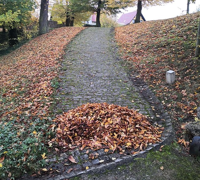 Bild: Laubfegen im Schlosspark Ebeleben