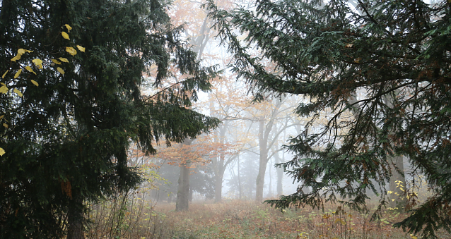 Bild: Wetterbild
