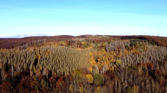 Bild: Blick in den S&uuml;dharz