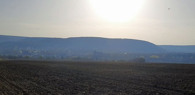 Bild: In Scharen in die Natur