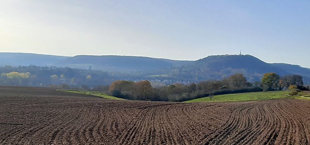 Bild: In Scharen in die Natur