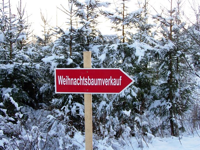 Bild: Weihnachtsbaumverkauf 2020: Th&uuml;ringenForst ist landesweit ger&uuml;stet, um die von Experten prognostizierte h&ouml;here Nachfrage im Corona-Jahr zu befriedigen