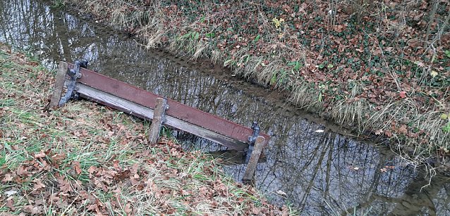 Bild: Chaoten im Schlosspark Sondershausen unterwegs