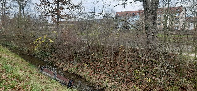 Bild: Chaoten im Schlosspark Sondershausen unterwegs