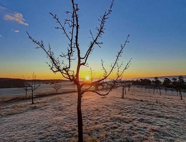 Bild: Erste Anzeichen des Winters - frostig goldener Tagesanbruch oberhalb des Schlachtberges.