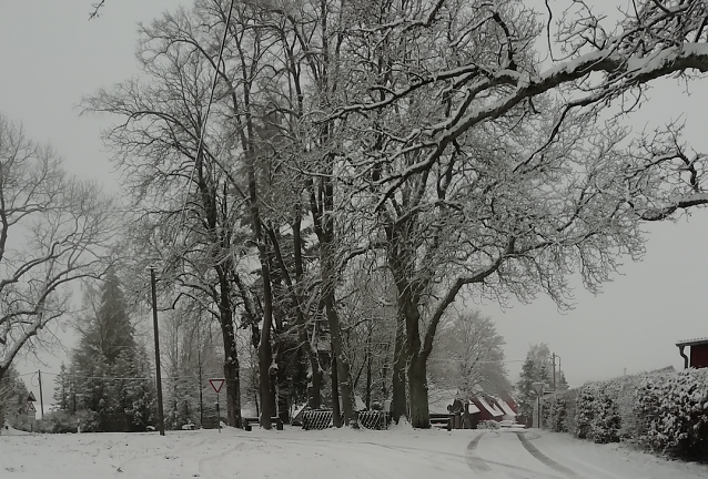 Bild: Winterwetter in Sophienhof