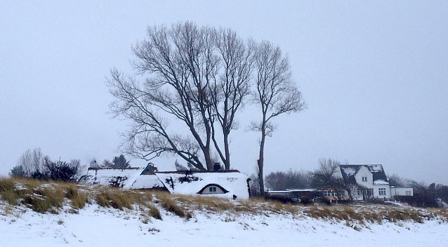 Bild: Am Strand von Ahrenshoop