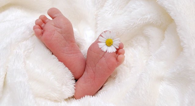 Bild: 1. Sondersh&auml;user Baby ist da