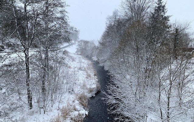 Bild: Blick von der Br&uuml;cke in Tanne im Harz