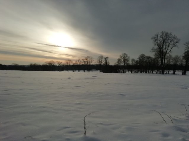 Bild: Sonne und Schnee bei Minus neun Grad heute morgen in Sophienhof