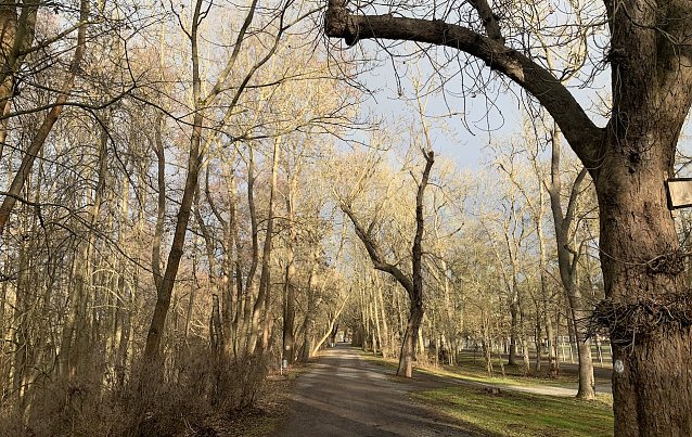 Bild: Im Stadtpark Nordhausen
