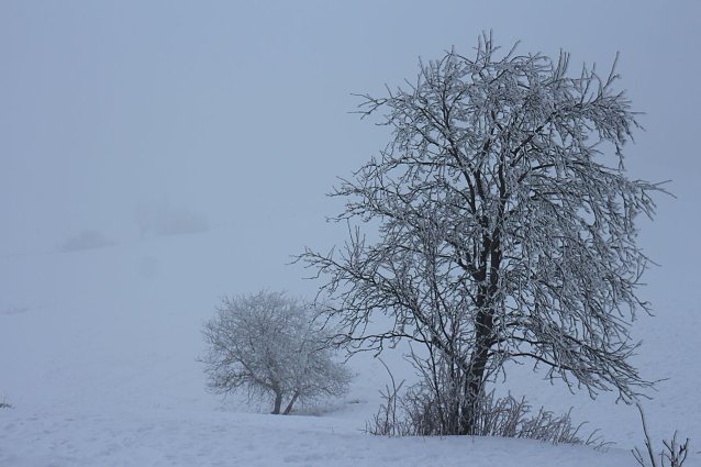Bild: Wetterbild