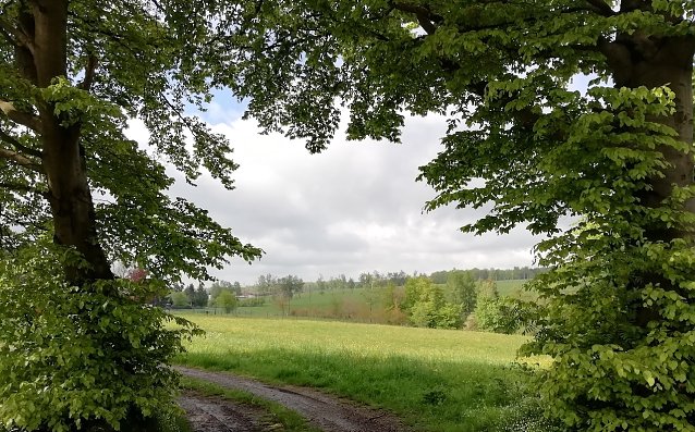 Bild: Blick auf Sophienhof