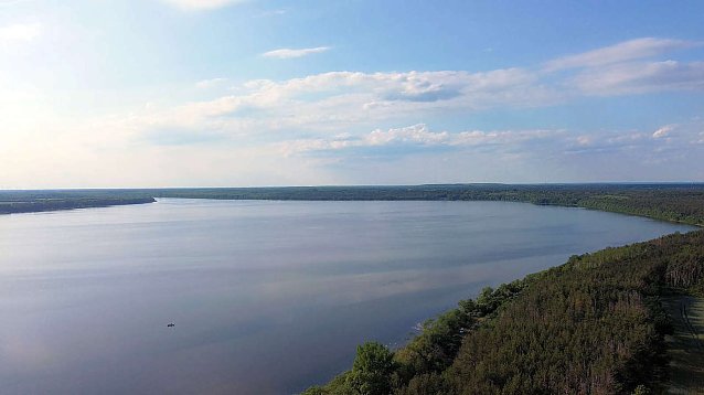 Bild: Der Muldestausee in Sachsen-Anhalt