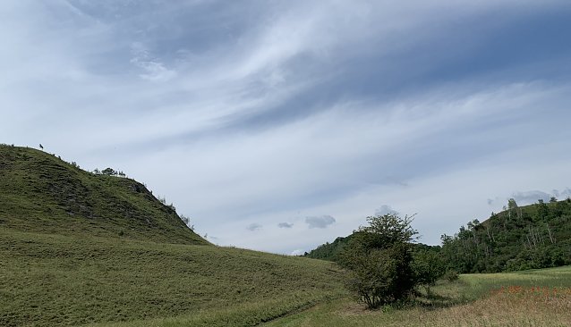 Bild: Bei Auleben am Stausee