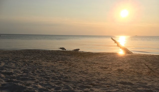Bild: Sonnenuntergang bei Ahrenshoop