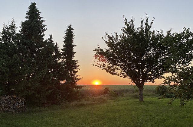 Bild: Abendstimmung in Nordsachsen