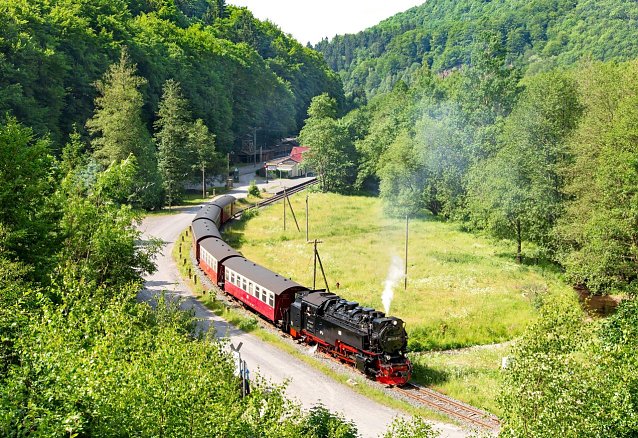 Bild: Wieder Dampf im S&uuml;dharz: Von Nordhausen geht es ab 1. Juli wieder t&auml;glich mit dem Dampfzug hinauf zum Brocken.