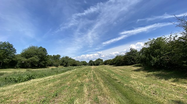 Bild: Sommer-Impression