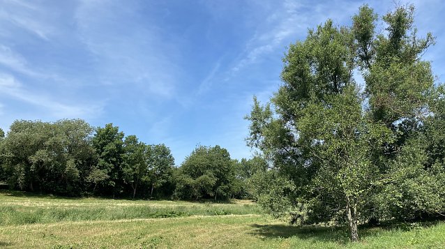 Bild: An der Zorge