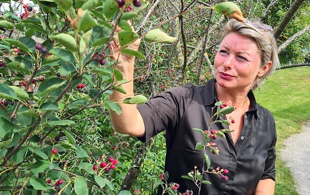 Bild: Im Garten der Generationen