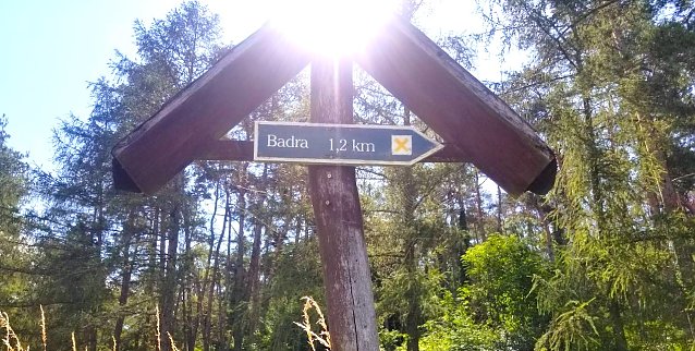 Bild: Neue Wege gehen