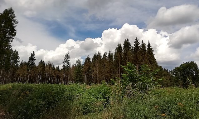 Bild: Impression aus Sophienhof