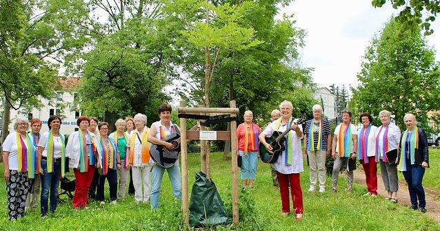 Bild: Frankenh&auml;user Frauenchor bei der Einweihung "Ihres Geweihbaumes"